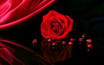 Roses Background Wallpaper Image Pictures
