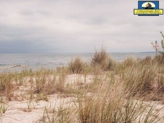 Chesapeake Bay Wallpaper