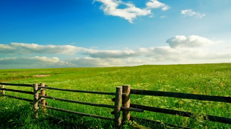 Diana S Spring Meadow Wallpaper Merit Got Mugged By The Plutocrats