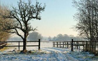 Winter Wallpaper Original Nature