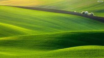 Green Fields Wallpaper South Florida Vegan Education Group