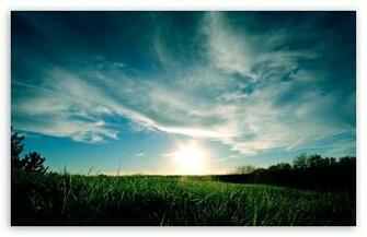 Sunny Day Summer HD Desktop Wallpaper Mobile