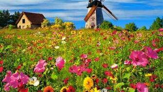Spring Summer Desktop Wallpaper 52dazhew Gallery