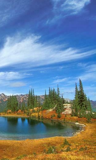 Sony Xperia U Wallpaper