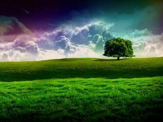 Cool Green Grassland Landscape Wallpaper Definition