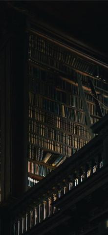 Assorted Title Book Lot On Shelf iPhone Wallpaper