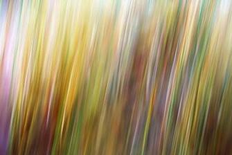 Color Grass Wallpaper Walltor
