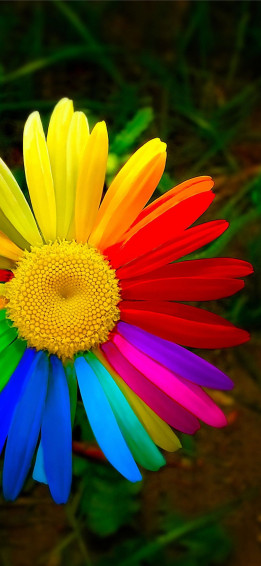 Hindu iPhone HD Wallpaper