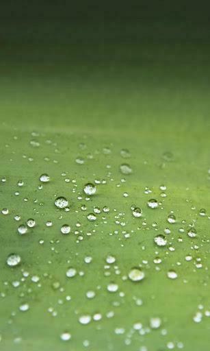 For Samsung Galaxy S3 HD Wallpaper