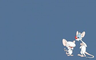 Pinky And The Brain Wallpaper