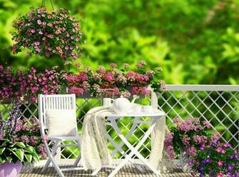 Blooming Spring HD Wallpaper Background Image Id