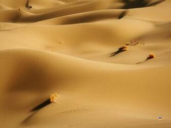 Desert Wallpaper HD Best