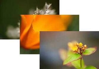 Wallpaper From Ubuntu Operating System That Cycle Through With Random