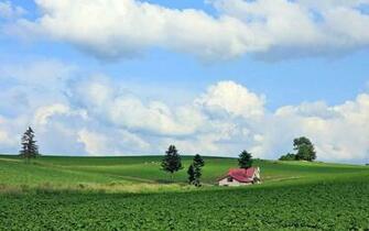 Spot Best Green Widescreen Wallpaper Html