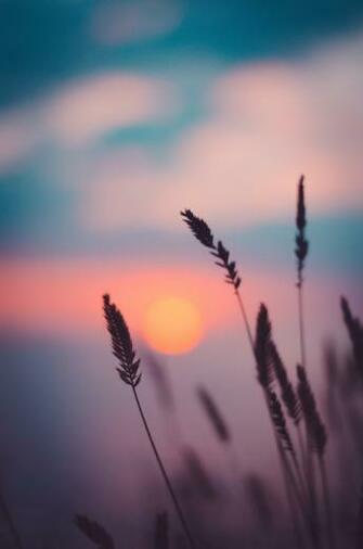 Best Dusk Pictures Image