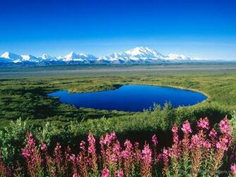 Mount Mckinley Wallpaperdesktop Wallpaper
