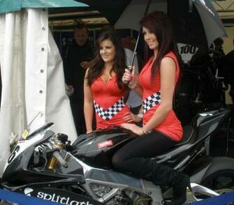 Pit Girls Pictures Motogp Grid