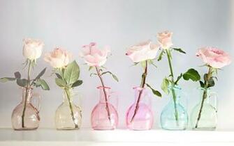 Flower Vase Wallpaper X Wallpaperlayer
