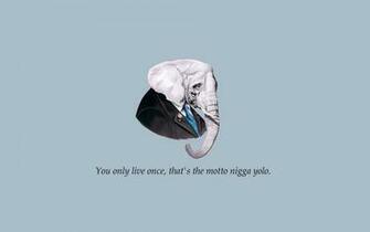 Yolo Elephant Wallpaper
