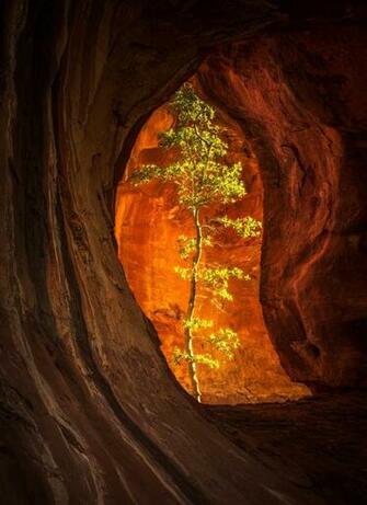 Nature And Landscape Wallpaper