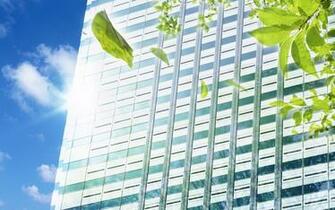 Building And Leaves Wallpaper Stock Photos