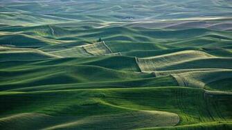 Landscape Fog Field Grass UltraHD 4k Wallpaper Background