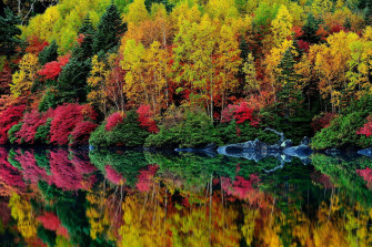Computer Background Nature Wallpaper
