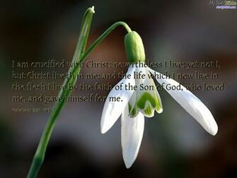 Christian Wallpaper Of Galatians Make