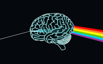Human Brain Wallpaper HD Wa