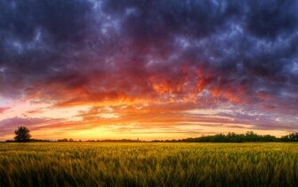 Sunrise Background Wallpaper High Definition Quality