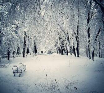 Wintertale Snow Live Wallpaper Android Apps On Google Play
