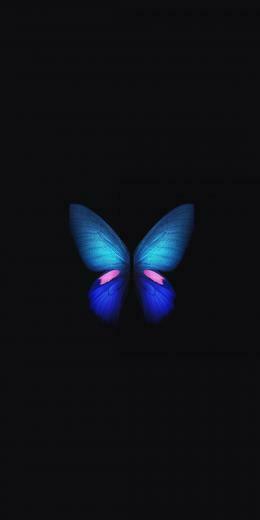 Samsung Galaxy Fold Blue Butterfly Minimal Art