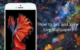Set Live Wallpaper On iPhone 6s And