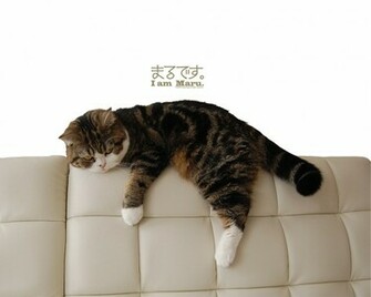 Maru Q