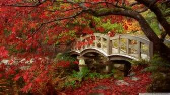 University British Columbia Wallpaper