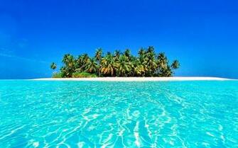Tropical Bluesplendor 21october2012sunday