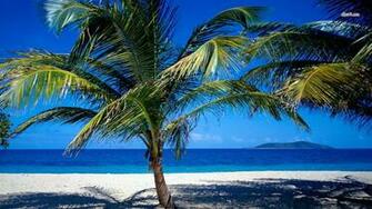 St Croix Virgin Islands Wallpaper Beach