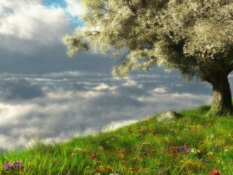 Wallpaper On Your Desktop You Can For The Background By