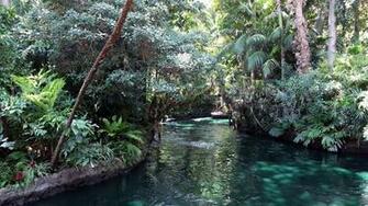 Jungle Cruise Disneyland Wallpaper
