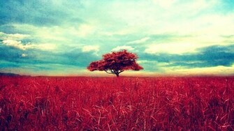 Hillsong Wallpaper