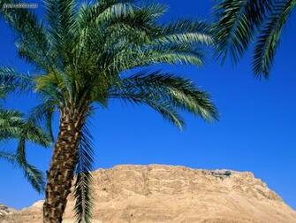 Nature Cable Cars Masada Israel Picture Nr