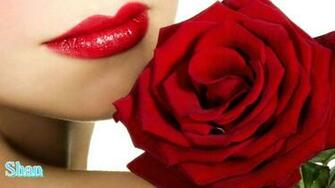 Gulab Ka Phool Wallpaper Info Beautiful Red Roses Rose