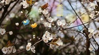 Welcome Spring Wallpaper For Desktop