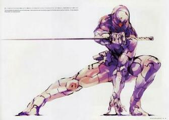 Grey Fox