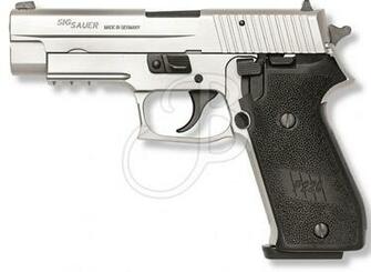 Amazon Sig Sauer P220 P226 P229 Pro Mk25 Gun Holster