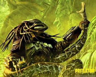 Predator Computer Wallpaper Desktop Background Id