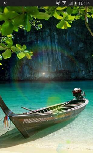 Sunshine Nature Leaf Wallpaper For Android Appszoom