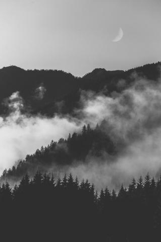 Stunning Black And White iPhone Wallpaper Background For