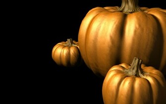Vegetable Pumpkins Wallpaper Wallpaperlepi