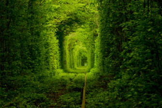 Tunnel Of Love Ukraine Wallpaper Travel HD